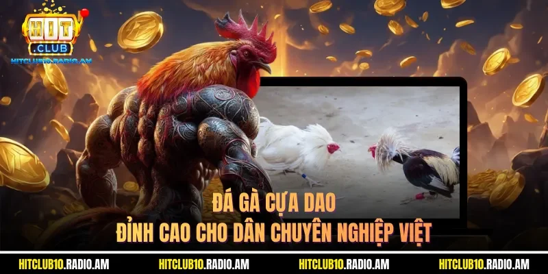 da-ga-cua-dao-dinh-cao-cho-dan-chuyen-nghiep-viet