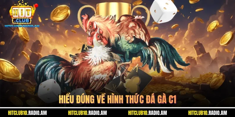 hieu-dung-ve-hinh-thuc-da-ga-c1