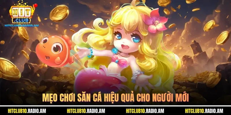 meo-choi-san-ca-hieu-qua-cho-nguoi-moi